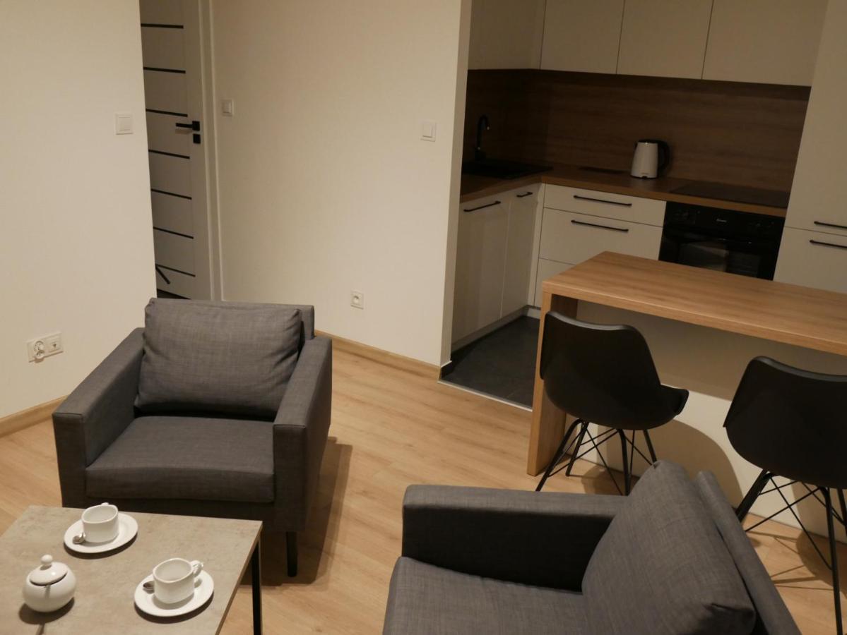 Auschwitz New Flat For Rent Air Conditioning In The Apartament Oswiecim Nowe Mieszkanie - Centrum Klimatyzacja W Mieszkaniu Lejlighed Eksteriør billede